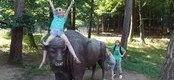 Ilustracja do artykułu: WYPRAWA DO ZOO