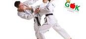 Ilustracja do artykułu: Zajęcia karate