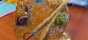 Ilustracja do artykułu: Sukces uczestniczki kółka ceramicznego!