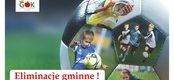 Ilustracja do artykułu: 5 Turniej Orlika