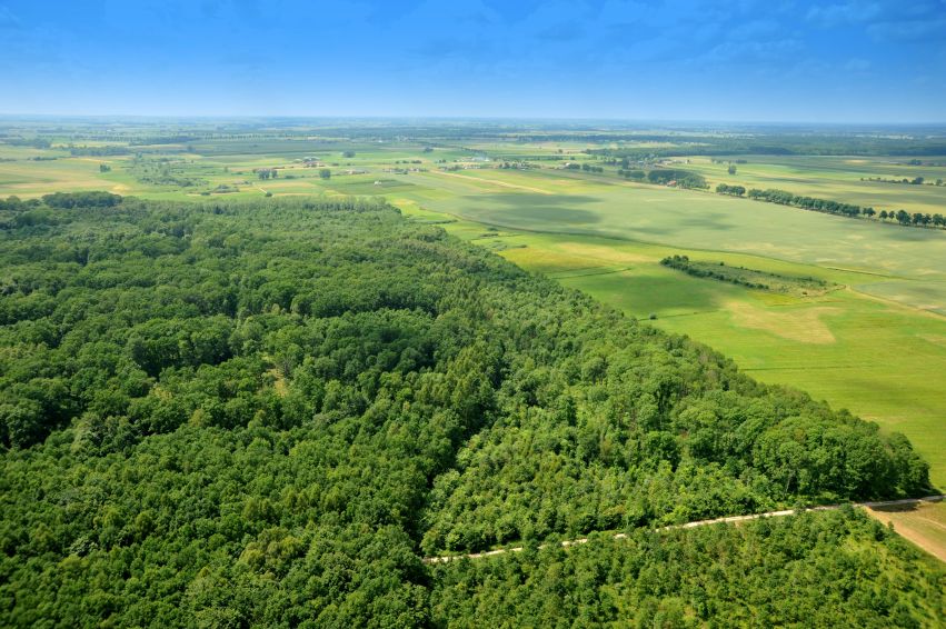 WALORY ROLNICZO – PRZYRODNICZE zdjęcie 3
