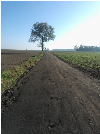 Modernizacja drogi dojazdowej do gruntów rolnych w Miejscowości Dębowo, ul. Lipowa