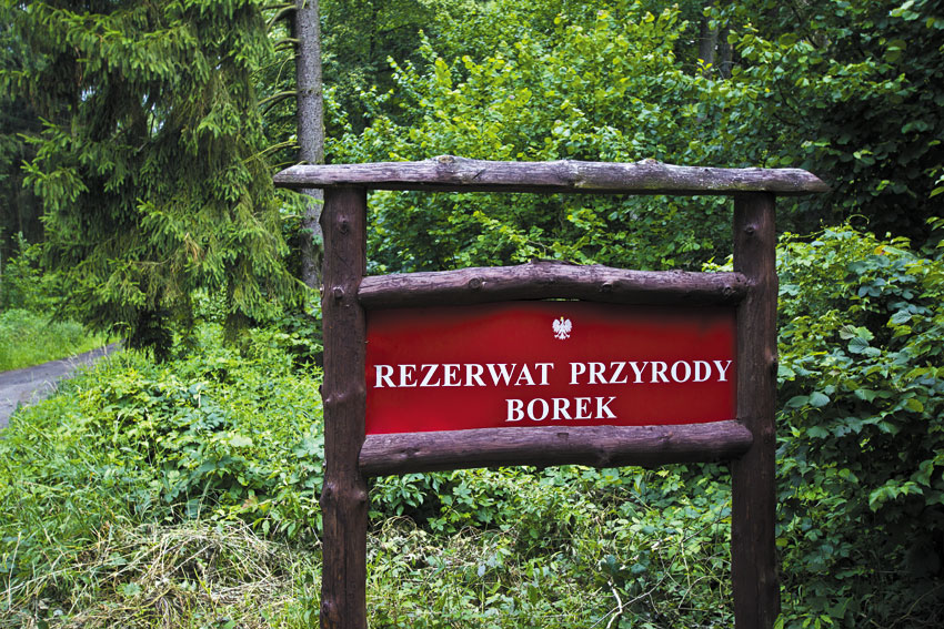 Tablica Informacyjna Rezerwat Przyrody Borek