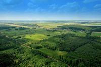Widok